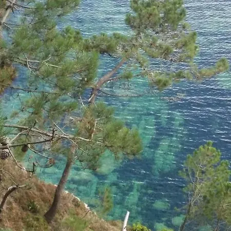 Appartement Vue Mer Crozon Esterno foto
