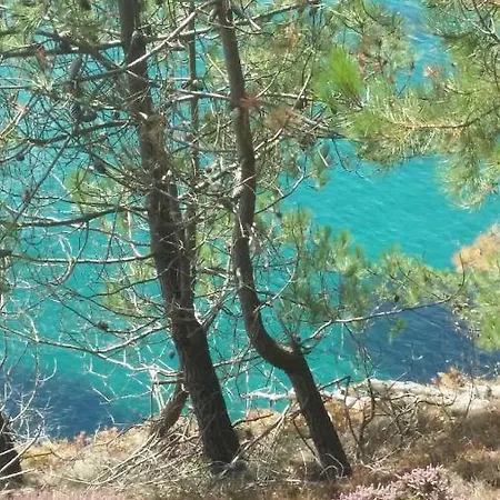 Appartement Vue Mer Crozon Esterno foto