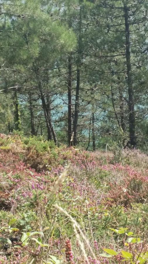 Vue * Crozon